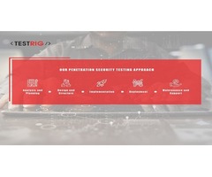 Penetration Testing Services Company in UK-Testrig Technologies | free-classifieds.co.uk - 1
