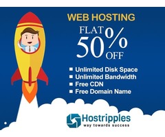 Get Flat 50% OFF on Web Hosting Services | Hostripples | free-classifieds.co.uk - 1