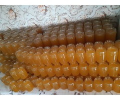 HONEY for sale - wholesale or jars - 24 tons - acacia linden sunflower - 100% natural | free-classifieds.co.uk - 3