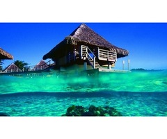Holidays in Bora Bora, French Polynesia - Grab a deal now | free-classifieds.co.uk - 2