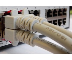 Buy online Standard Cat6 Cables - 2