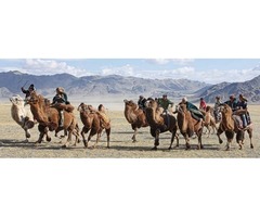 Best Private and Group Tours to Mongolia | free-classifieds.co.uk - 3