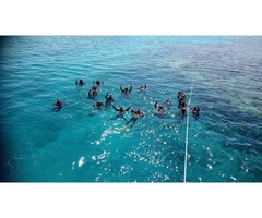 Open Water Course In Hurghada - 1