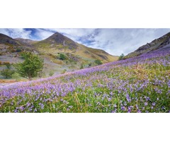 Go on an adventure in Scotland this Spring | free-classifieds.co.uk - 3