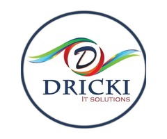 Monthly SEO Packages- Dricki - 1