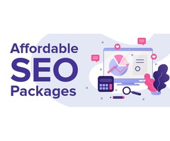 Monthly SEO Packages- Dricki | free-classifieds.co.uk - 3