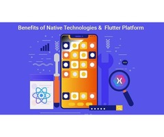 Flutter vs React Native – What to choose in 2020? | free-classifieds.co.uk - 3