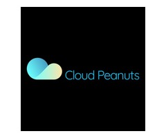Cloud Peanuts - Top Web Development Services UK - 1