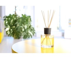 Acqua Dell’Elba Home Fragrance Diffuser – Mare 200ml/6.8oz | free-classifieds.co.uk - 2