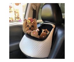 Toitert – universal dog car seats - 1