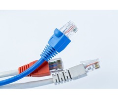 Buy Online Standard Cat6 Cables - 2