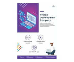 Leading Python Development Company | free-classifieds.co.uk - 1