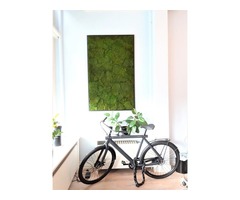 The Unique Design of Moss Walls Living Room | free-classifieds.co.uk - 3