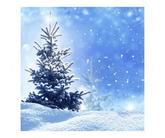 2020 Christmas Backdrops for Photography in UK | free-classifieds.co.uk - 1