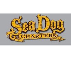  Sea Dog Professional Fishing Charters | free-classifieds.co.uk - 1