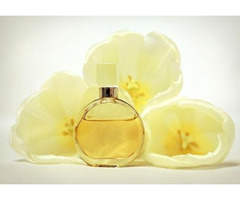 Buy Perfumes and Designer Fragrances for Men & Women Online | free-classifieds.co.uk - 1