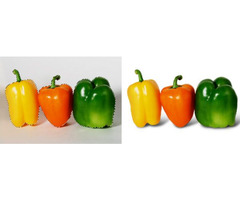 Clipping Path Services | free-classifieds.co.uk - 1
