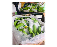 Fruits for Sales | free-classifieds.co.uk - 4