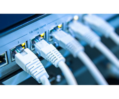 Buy Ethernet Cables online - 2