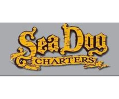 Sea Dog Private & Custom Fishing Charters | free-classifieds.co.uk - 1