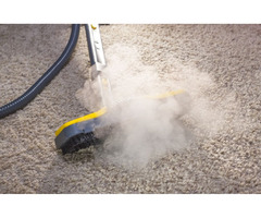 Our Cleaners Remove Stains from Rugs and Carpets  | free-classifieds.co.uk - 1