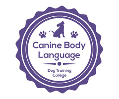 Dog Trainer  | free-classifieds.co.uk - 2