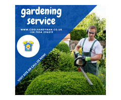 Gardening Services in London | Garden maintenance - Cool handyman | free-classifieds.co.uk - 1