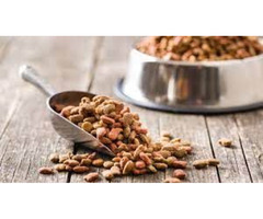 Wholesale Pet Food and Accessories | free-classifieds.co.uk - 1