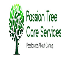 Passion Tree Care Services | free-classifieds.co.uk - 1