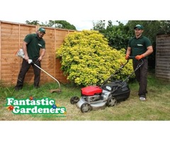 Fantastic Gardeners - 2