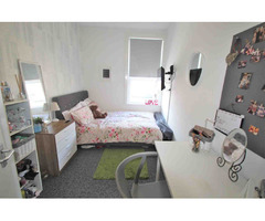 Student Accommodation in Wrexham | free-classifieds.co.uk - 1