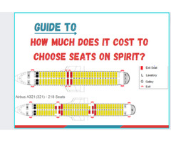How much does it cost to switch a flight on Spirit? - 1