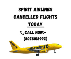 Spirit Airlines Cancelled Flights Today | free-classifieds.co.uk - 1