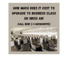 How much does it cost to upgrade to business class on Swiss Air | free-classifieds.co.uk - 1