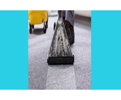 Carpet Cleaning Hemel Hempstead | free-classifieds.co.uk - 1