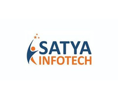 Offshore IT Outsourcing Company | Software Development Service Provider – Satya Infotech - 1