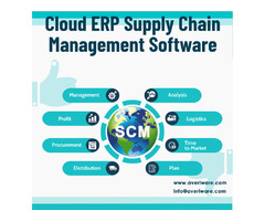 Find The Best Cloud Software For Your Organization’s SCM System | free-classifieds.co.uk - 1