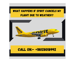 What are the things if the flight is changed due to weather on Spirit Airlines | free-classifieds.co.uk - 1