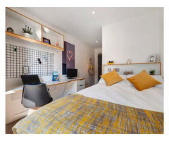 Potterrow Edinburgh Student Accommodation offers Well Connected Conveyance | free-classifieds.co.uk - 1