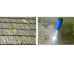 Safely Get Moss Removal in London by Superheated System From Tikko Stone Care | free-classifieds.co.uk - 1