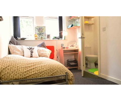 Student Accommodation Potterrow Edinburgh Under Student’s Budget - 2