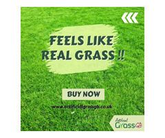 If you’re looking for best Artificial Grass Company, Buy from Artificial Grass GB! - 1