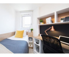 Pretty student housing in London | free-classifieds.co.uk - 1