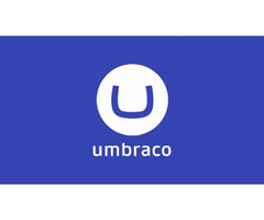 Umbraco Website Development Company | free-classifieds.co.uk - 1