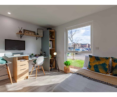 Cardiff Student Accommodation for Vibrant  Lifestyle | free-classifieds.co.uk - 2