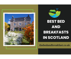 Best Bed and Breakfasts in Scotland | free-classifieds.co.uk - 2