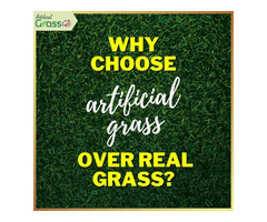 Why choose artificial grass over real grass?  - 1