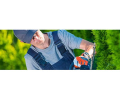 Expert Gardeners Oxford | Landscaping, Lawn Care and Many More - 2