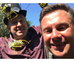   Professional Wasp nest removal services in Surrey and the surrounding area. | free-classifieds.co.uk - 1