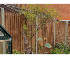 Garden fencing | free-classifieds.co.uk - 1